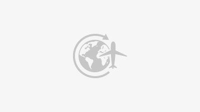 A small icon of a plane travelling around the world standing for expatriation programs