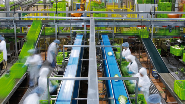 warehouse operations