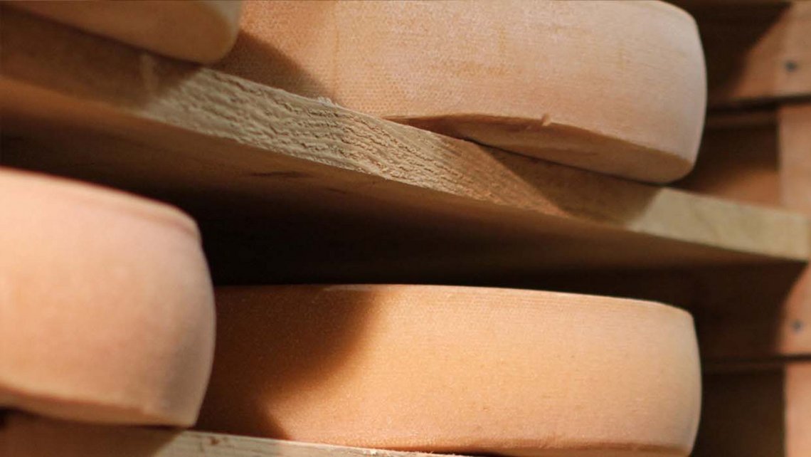 Wooden shelves with large wheels of cheese