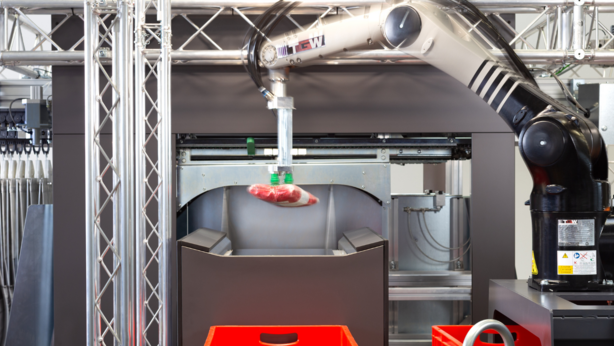 [Translate to North America:] robotic picking trends warehouse robots