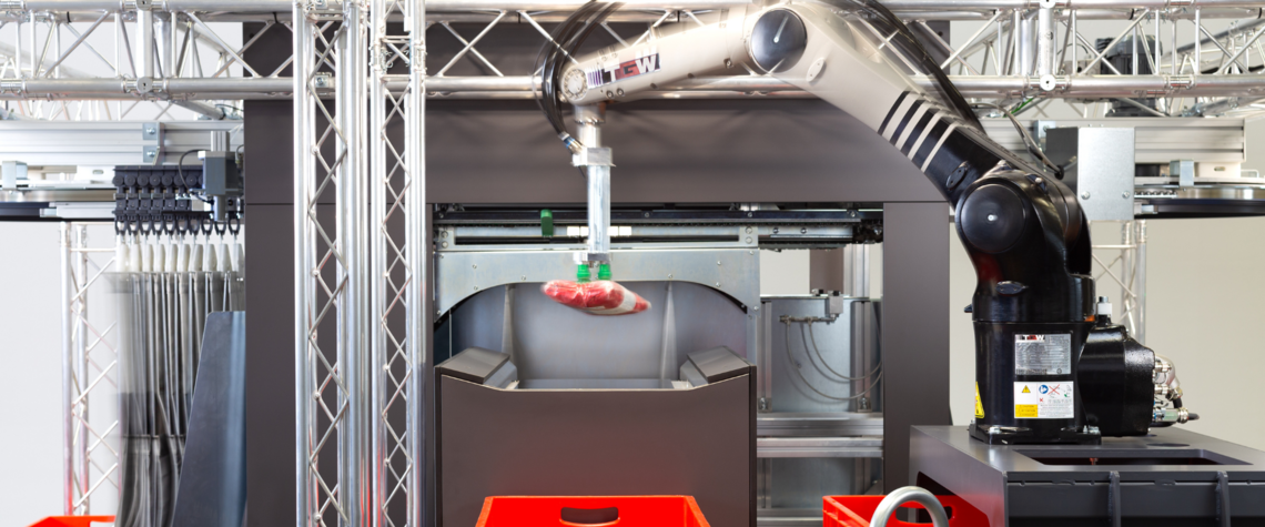 [Translate to North America:] robotic picking trends warehouse robots